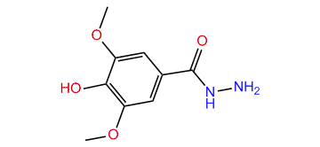 4-Hydroxy-3,5-dimethoxybenzohydrazide